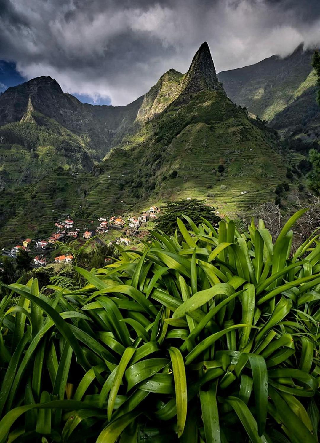 The Artist House Hotel Arco da Calheta  Ruang foto